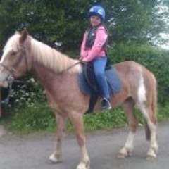 Donna Sullivan Brett