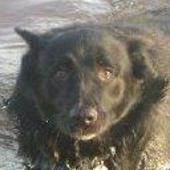 Marni Steventon Fleming