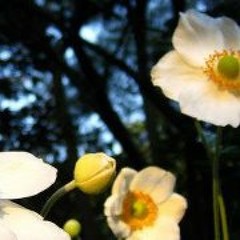 Lavendhri B Arumugam