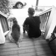 Taylor Fly Villen Haynes