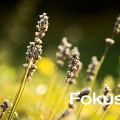 Fokus!