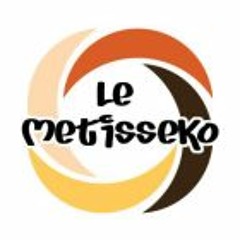 Association Metisseko