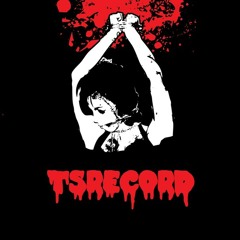 TSRecord