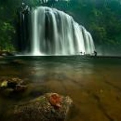 Christian Peterson 2