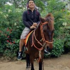 Aris Aris Del Rosario