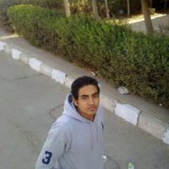Abody Gamal
