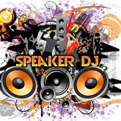 SpeakerRecords