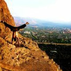 Federico López Sanz