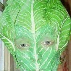 Letttuce