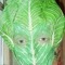 Letttuce