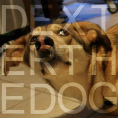 Dexter the Dog
