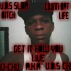 Chu-chu So'cali Walker