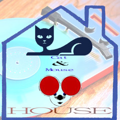 Cat and Mouse House