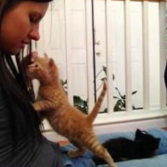 Rachel Elysia Perkins