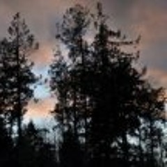 April's Songs
