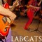 labcats