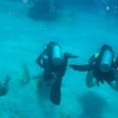 Gustavo Navarro Lema