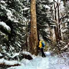 Road to Yonder