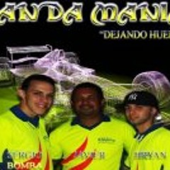 Grupo Banda Mania