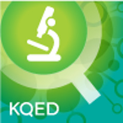 KQEDScience