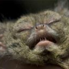 A little Tiny Ruins cover for my pals who couldn't see them at Lindale, crap guitar