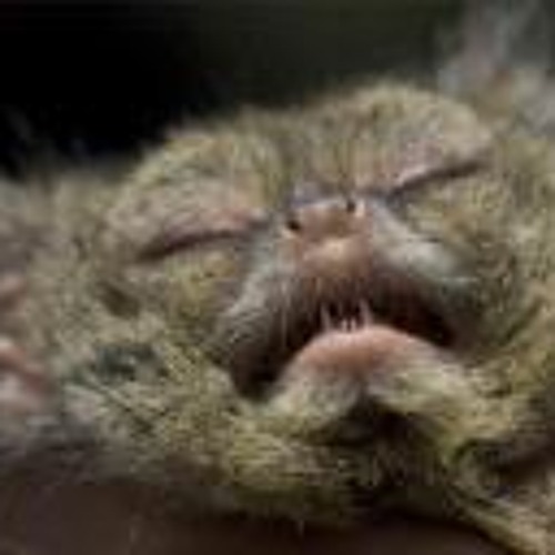 A little Tiny Ruins cover for my pals who couldn't see them at Lindale, crap guitar