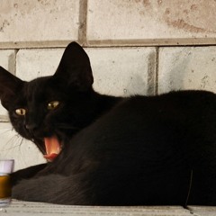 Lucifer Sam I