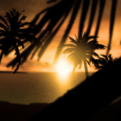 coolnightfall