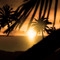 coolnightfall