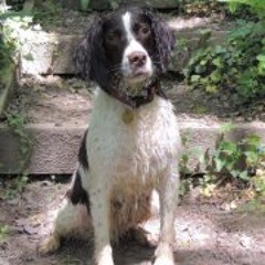 Michelle Williams 21