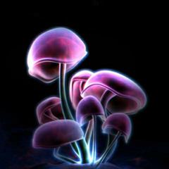 user2374601
