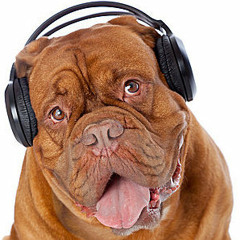DJpuppy