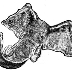 Kifimbo Music Official