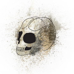 Techno Junkie Studio