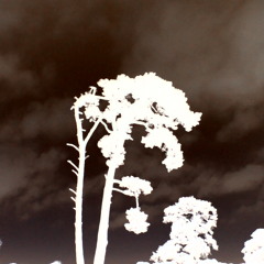 dontknowyet????????????