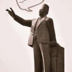 Mohamed Fekry Elbeshr