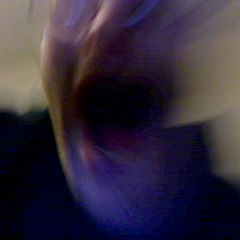 Lyall Soupie Campbell