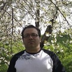 Ramin Khalili Amoli