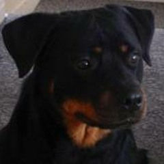 Christopher Lawrence Cook