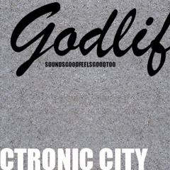 FERROPOLIS ELECTRONICCITY