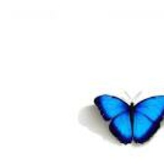 Sandra Vidal Mendoza