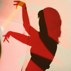 B.S.E