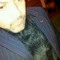 Ray Best 1