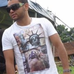 flavio t. silva