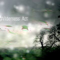 Wilderness Act