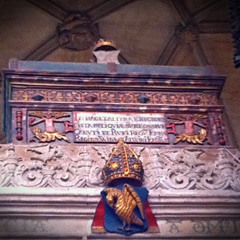 Great King Canute
