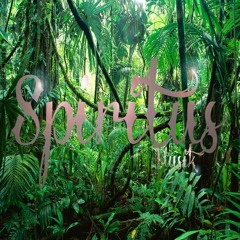 Spiritus