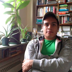 Arturo A Mayorga Mtz