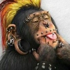 Rave-monkey!