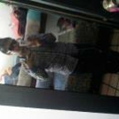 ZslOoeerr Oonek Espinoza